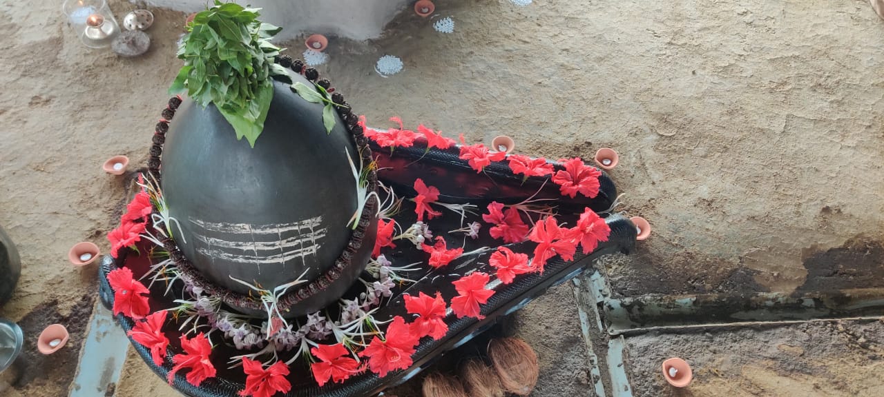 Shivling Puja at Rudradhaam